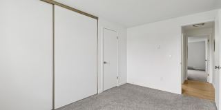 Shannon South Gallery 7