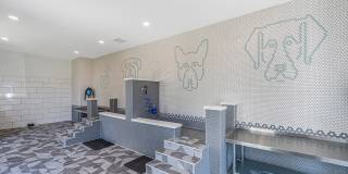 Elevate Navarre Elevate Navarre Gallery 30