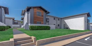 Tree Top Apartments Gallery 11