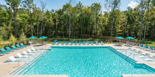 Mosby Ingleside Gallery 26