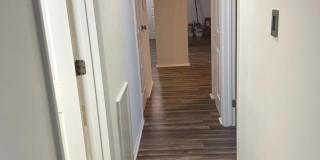 12405 HICKORY TREE WAY #613 Gallery 4
