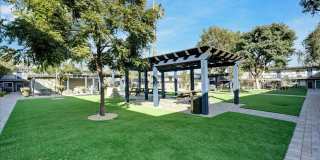 Tierra Palms Gallery 101
