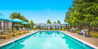 Lineage at Willow Creek Gallery 22