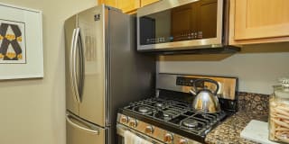 The Piero Gallery 54