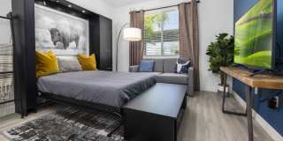 The Lotus Gallery 20