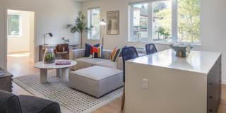 The Frankie Gallery 5