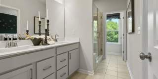 323 Sammon Way Gallery 29