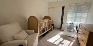 1331 Evergreen Drive - 1 Gallery 4