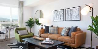 Avalon Public Market Gallery 11