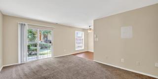 Park Naylor Apartments Gallery 11