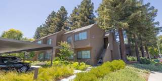 Old Orchard Apartments Gallery 31