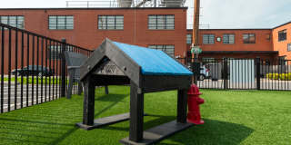 Plant 1 Plant 1 Gallery 19