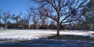Close to Stapleton - Anschutz - DIA - Renovated 1 Bedroom With Balcony Gallery 61