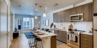 Legacy at Fitz Gallery 54