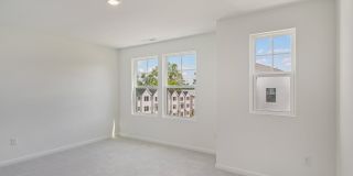 The Maple Gallery 18