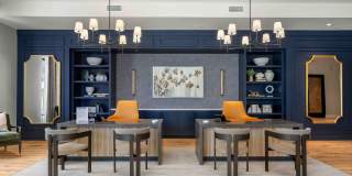 Solis Birkdale Gallery 25