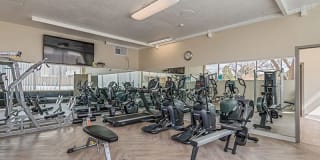 The Landmark Gallery 7