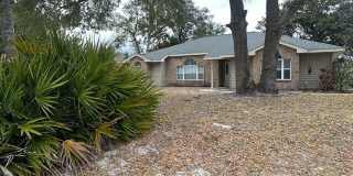 23 WINDING WOODS Trail Gallery 1