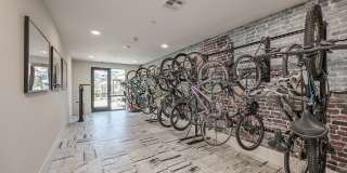 Cendana District West Gallery 41