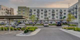 Vida at Daybreak Gallery 44