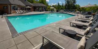 Arbor Heights Gallery 25