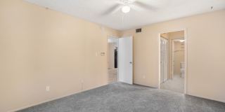 Cozy 2 Bed 1.5 Bathroom in Temple Terrace Gallery 13