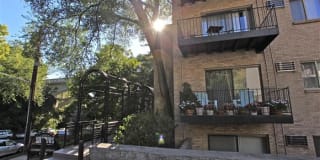 Mt. Adams Living Gallery 10