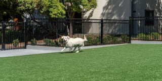 Sharon Green Gallery 49