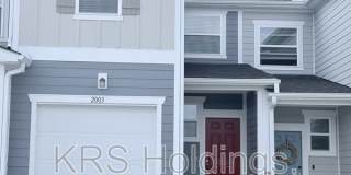 2003 Rabbitbrush Street Gallery 2