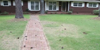 5405 Hartsdale Dr Gallery 1
