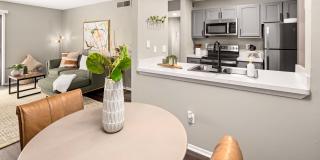 The Magnolia Apartments Gallery 29