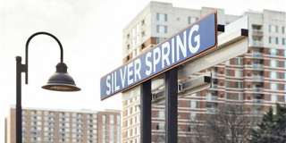 Thayer & Spring Gallery 30