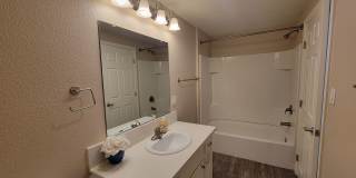 The Pines Apartments Gallery 15