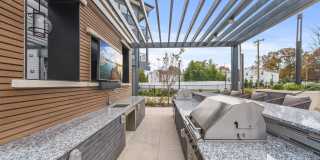 Canter Green Gallery 42