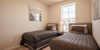 Towns at Andrew's Park Gallery 16