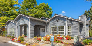 Desie Gallery 3