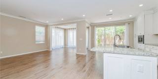 65 Island Coral Gallery 7