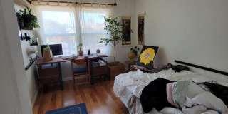 AUGUST 2026 SDSU AREA HOME - 4 bedrooms / 3 bath - With Big yard on Canyon! Gallery 29