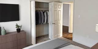 The Lory of Savannah Gallery 5