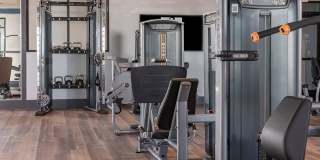 Cortland on Orange Gallery 19