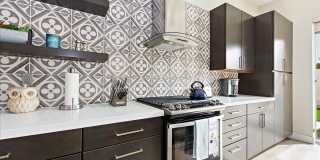 53720 Avenida Madero Gallery 8