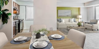 Cavalier Club Gallery 6