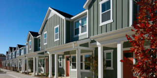 Cadia Sherman Gallery 1