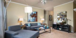 The Falls and Woods of Hoover Gallery 51