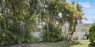 1329 Chippewa Street Gallery 33