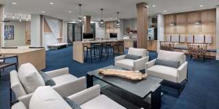 Compass at The Grove Gallery 24