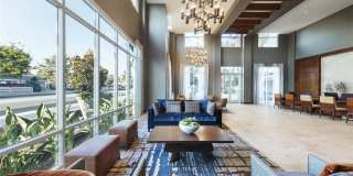 Alder Apartments Gallery 5