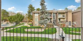 Country Woods Gallery 9