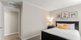 445 Cleveland Gallery 16