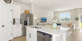 Coral Palms at Oakleaf Gallery 5